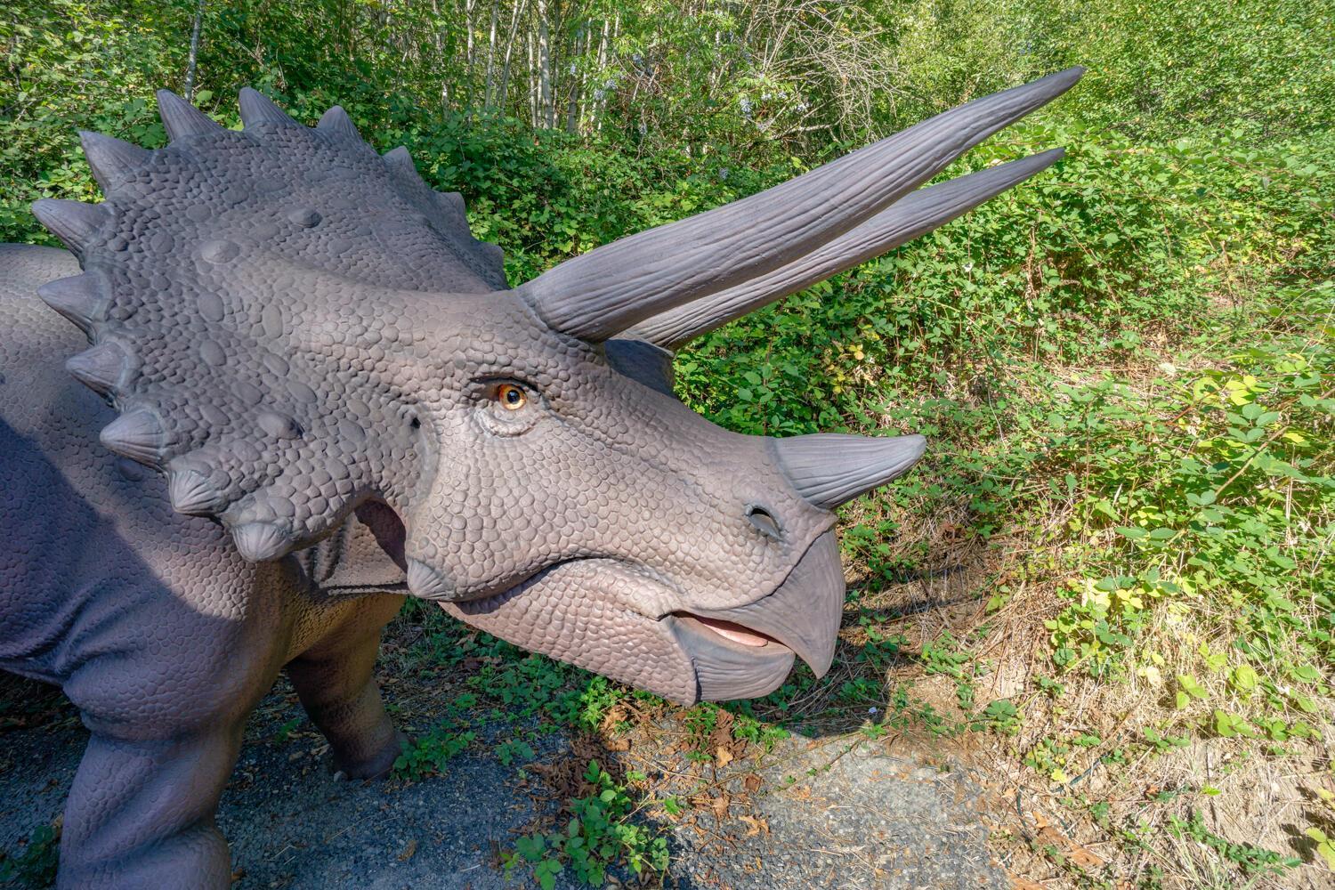 Jurassic Rebirth Out On Jul 2 - Book Your Stay Now (Adults Only) Washougal Exterior foto